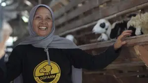 Sosok Yuyum, peternak perempuan asal Sukabumi, saat merawat kambing di kandang binaan Dompet Dhuafa. (Sumber Foto: Dompet Dhuafa)