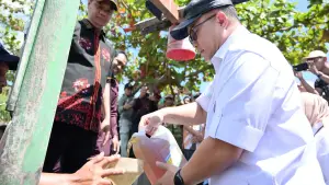 Kepala BRIN Arif Satria saat uji coba Petasol | Foto : dok.brin