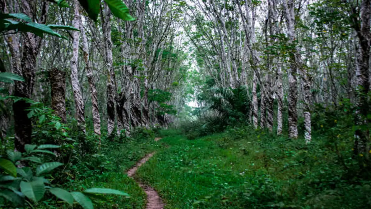 HGU Talaga Kantjana Cidadap Sukabumi Habis 2027, Warga Tolak Perpanjangan