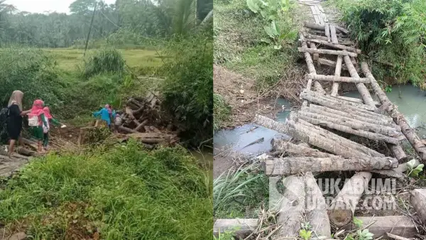 Kolase jembatan kayu Cipalabuan di Desa Buniasih, Sukabumi, yang rusak parah diterjang banjir. Anak-anak sekolah terpaksa meniti puing untuk menyeberang. (Sumber Foto: Istimewa)