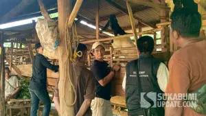 Ternak domba, salah satu komoditas unggulan usaha Pepeling Farm di Desa Sukamaju, Cikembar, Kabupaten Sukabumi | Foto : do. pepeling farm/sukabumiupdate