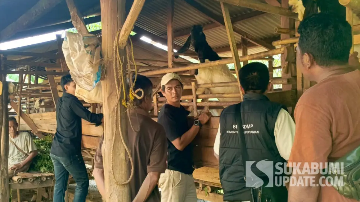 Gabungan Petani Muda, Pepeling Farm Bidik Sukamaju Jadi Kampung Peternakan di Sukabumi