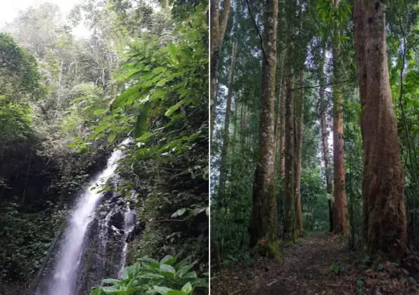 Curug Tangga, salah satu air terjun tersembunyi yang ada di kawasan Goalpara, Sukabumi (Sumber : Gmaps)