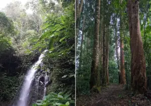 Curug Tangga, salah satu air terjun tersembunyi yang ada di kawasan Goalpara, Sukabumi (Sumber : Gmaps)