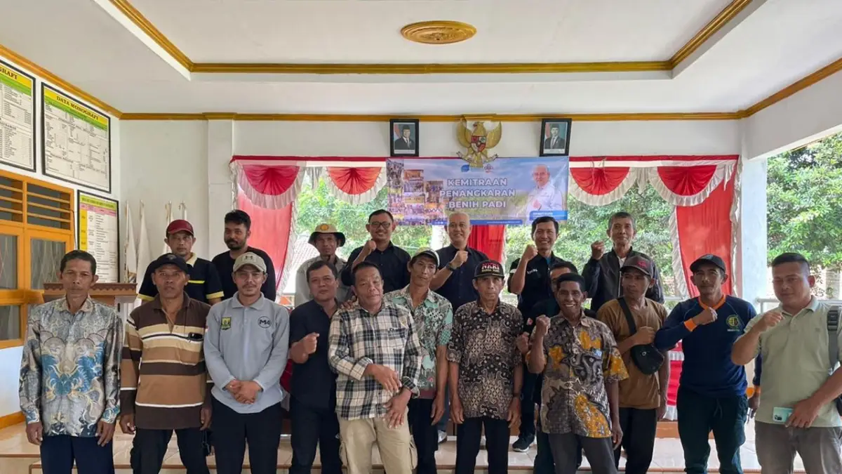 DBA Perkuat Stabilitas Harga Petani melalui Skema Sergap dan Kemitraan Padi di Ciracap