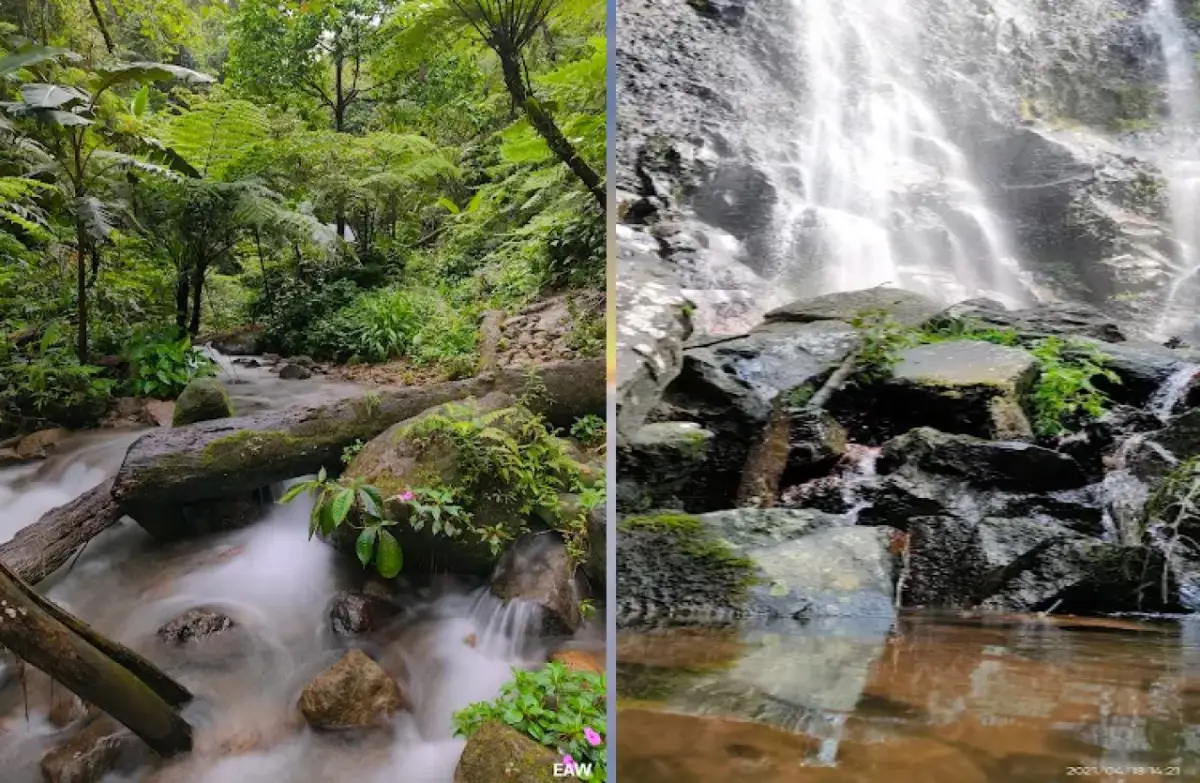 Curug Tebing Ciasmara: Air Terjun Indah di Tengah Alam Liar Bogor
