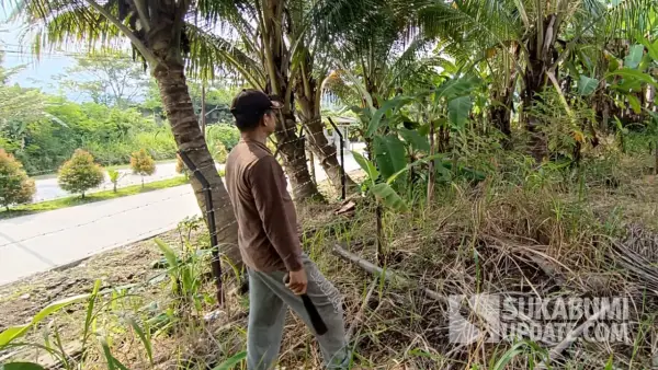 Suami Hj Umriyah saat berada di dekat pagar berduri lahan sengketa. (Sumber: SU/Ilyas Supendi)