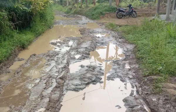 Kondisi jalan kabupaten di Cidolog yang rusak parah di ruas Cikarang-Cipamingkis. (Sumber: Dok Warga)