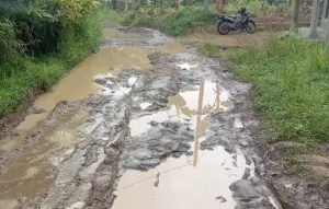 Kondisi jalan kabupaten di Cidolog yang rusak parah di ruas Cikarang-Cipamingkis. (Sumber: Dok Warga)