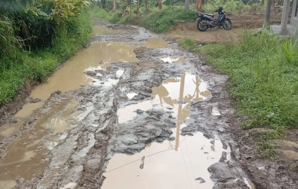 Warga Keluhkan Jalan Cikarang-Cipamingkis Rusak, Aktivitas Sekolah dan Pertanian Terhambat