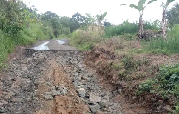 Ruas jalan Cikarang-Cipamingkis di Cidolog yang rusak dan sudah masuk rencana penanganan. (Sumber: Istimewa)