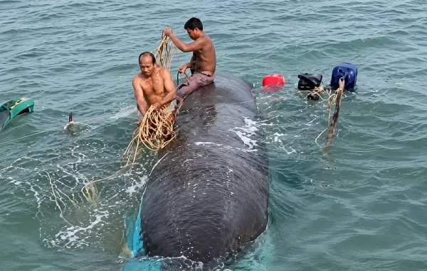 Perahu nelayan yang karam di pantai Ujunggenteng Sukabumi. Sabtu (9/5/2026) pagi. (Sumber: Istimewa)