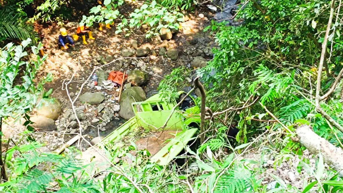 Diduga Rem Blong, Truk Pengangkut Alat Berat Terjun ke Jurang 50 Meter di Palabuhanratu