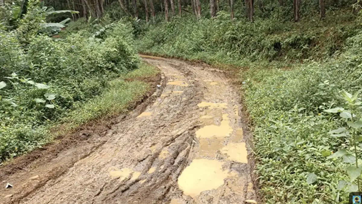 Kondisi jalan di Desa Sukajaya, Kecamatan Pabuaran, Kabupaten Sukabumi.