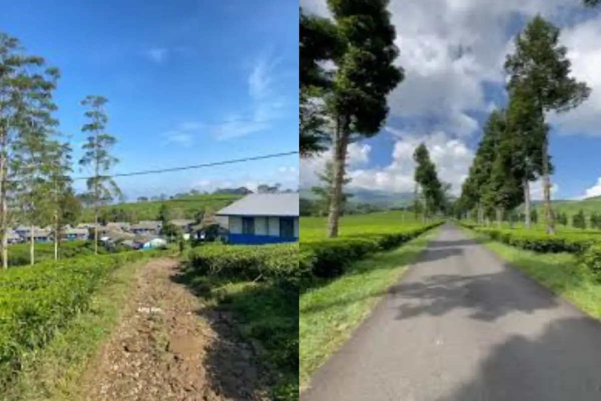 Kampung Cibuni Ciwidey, Hidden Spot dengan Nuansa Pegunungan yang Tenang