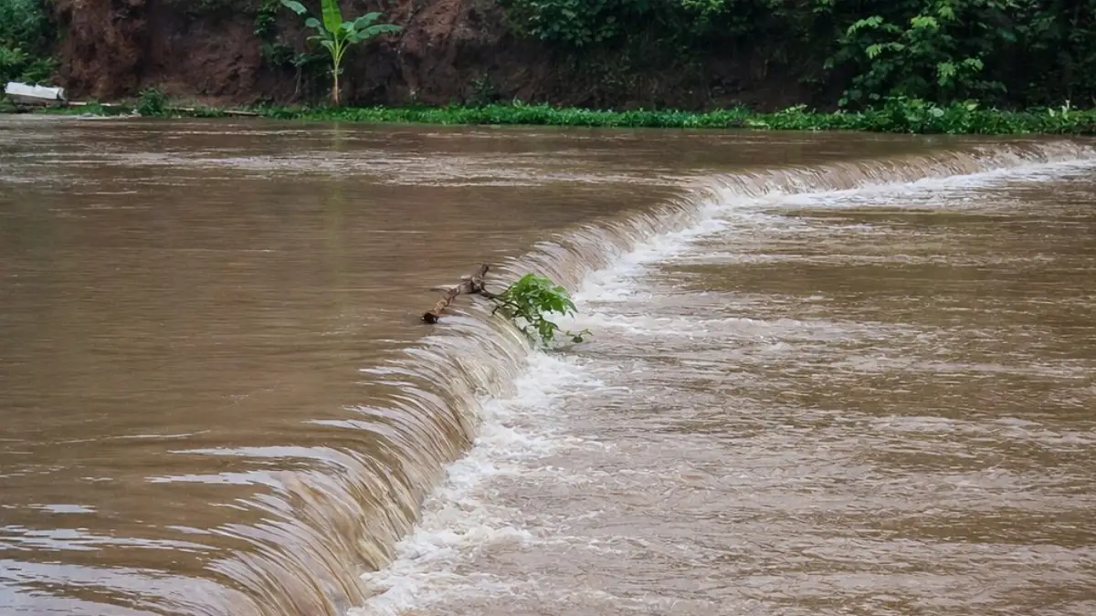 Sawah di Sukasirna Cibadak Jadi Langganan Banjir, Warga Sebut Pendangkalan Sungai