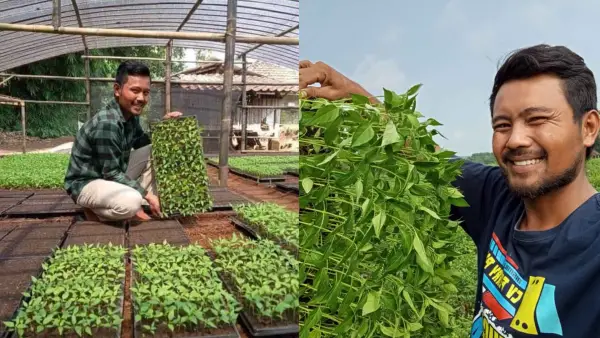 Sosok Jenal Abidin, petani milenial asal Waluran Sukabumi yang lolos Grand Final Young Ambassador Agriculture 2026 Kementan. (Sumber Foto: Istimewa)