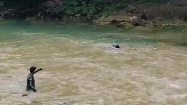 Detik-detik proses penyelamatan pelajar yang hanyut terseret banjir bandang di Curug Sukabumi. (Sumber Foto: Tangkapan layar video/Istimewa)