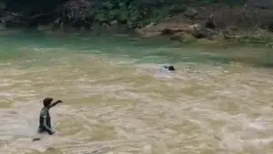 Detik-detik proses penyelamatan pelajar yang hanyut terseret banjir bandang di Curug Sukabumi. (Sumber Foto: Tangkapan layar video/Istimewa)