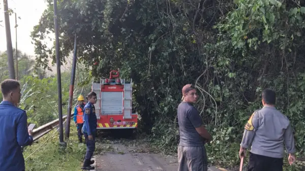 Proses evakuasi pohon tumbang di Jalan Nasional Surade–Tegalbuleud oleh petugas Pemadam Kebakaran. Minggu (24/5/2026). (Sumber: Istimewa)