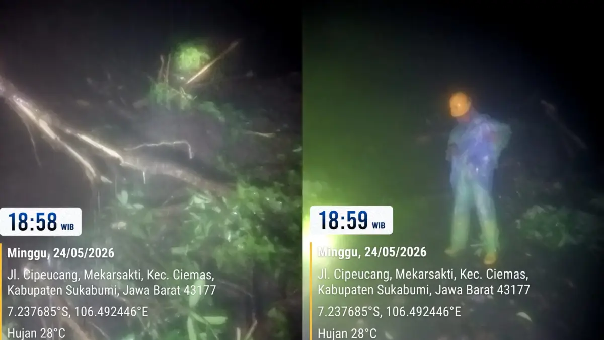 Tebing Cipeucang Longsor, Jalur Wisata Mareleng–Palangpang Sukabumi Terputus