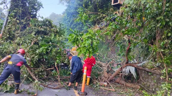 Tim gabungan saat evakuasi pohon Mangir besar yang tutup jalan Surade-Tegalbuleud, Kabupaten Sukabumi | Foto : dok. Istimewa