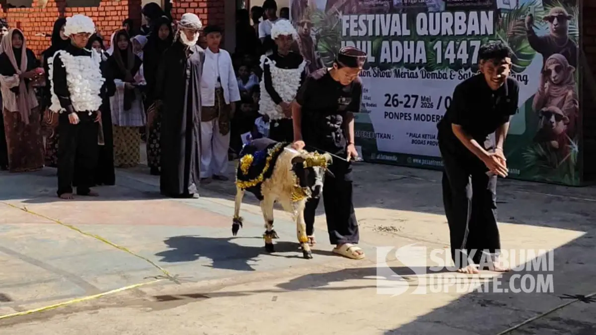 Dandani Domba Pakai Barang Bekas, Uniknya Tradisi "Fashion Show" Hewan Kurban di Sukabumi