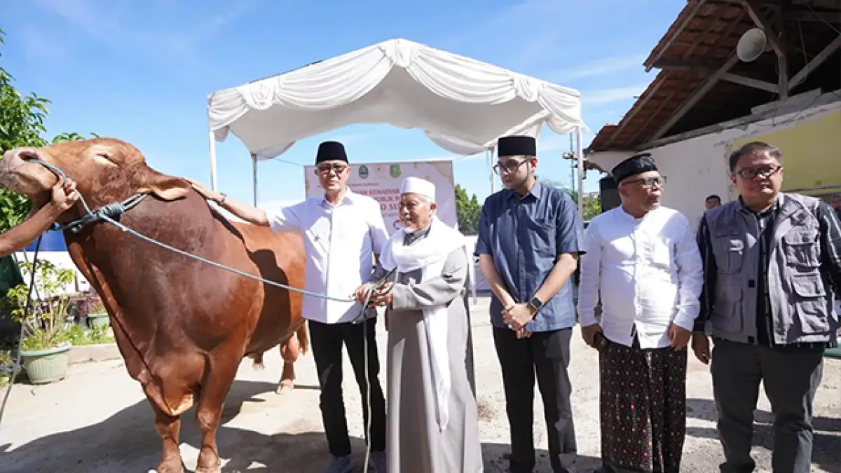 Sapi Kurban Predator 1,2 Ton dari Prabowo Disembelih di Ponpes Miftahussa’adah Sukabumi.