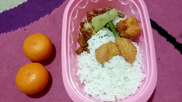 Foto menu MBG 3B ibu hamil, ibu menyusui (busui) dan balita dari SPPG Cijulang Desa Cijulang, Kecamatan Jampangtengah, Kabupaten Sukabumi. (Sumber : Facebook Abdul Hamdan).