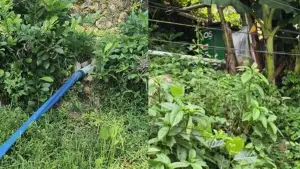 Kondisi saluran pembuangan limbah SPPG Bantarkalong. (Sumber: Istimewa)