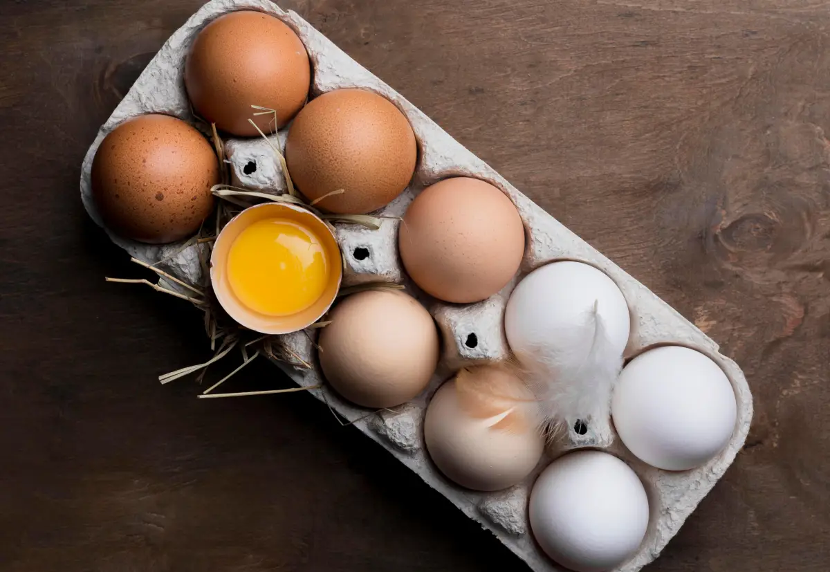 Manfaat dan Perbedaan Telur Ayam Negeri dan Telur Ayam Kampung
