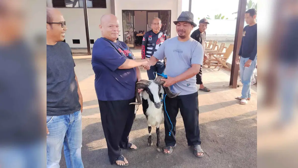 Idul Adha 1447 H, BP Mektan Jabar Salurkan Hewan Kurban untuk Pegawai