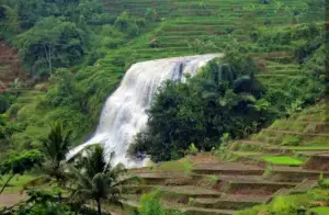 Curug Cirajeg, salah satu destinasi wisata di Sukabumi yang masih jarang dikunjungi (Sumber : Gmaps/zoetami)