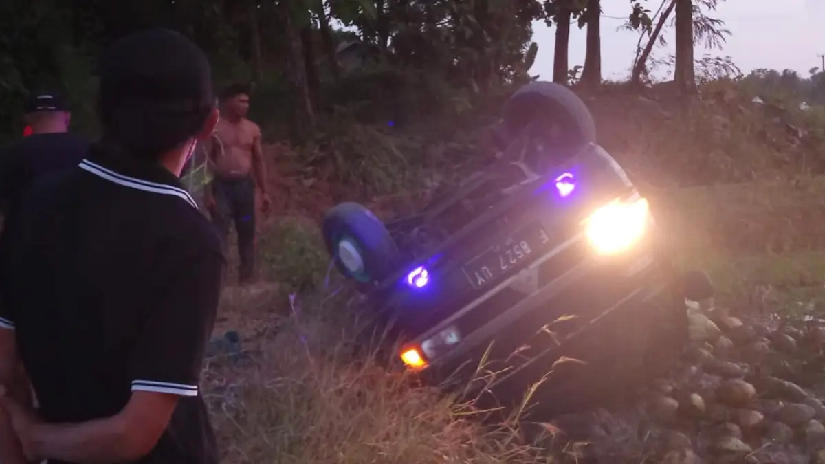 Pick Up Bermuatan Kelapa Muda Terguling ke Sawah di Tegalbuleud