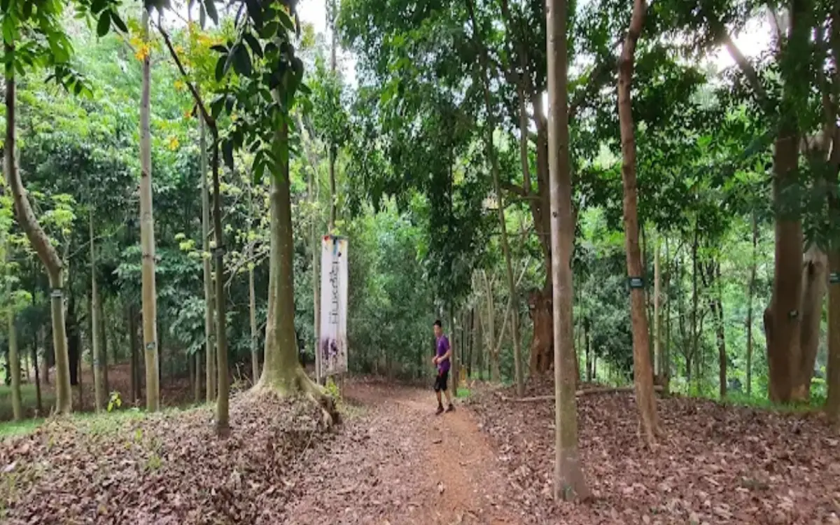 Wisata Murah Meriah Menikmati Suasana Hutan di Tengah Kota Cianjur