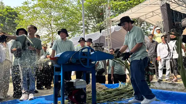 PT Panen Raya Tanaman Sorgum dan Pengiriman Perdana Biomassa Sorgum Dust sebagai bahan bakar co-firing PLTU Pelabuhan Ratu di Perkebunan Sorgum Cilegok, Ciemas, Kabupaten Sukabumi (Sumber: dok pln ip)