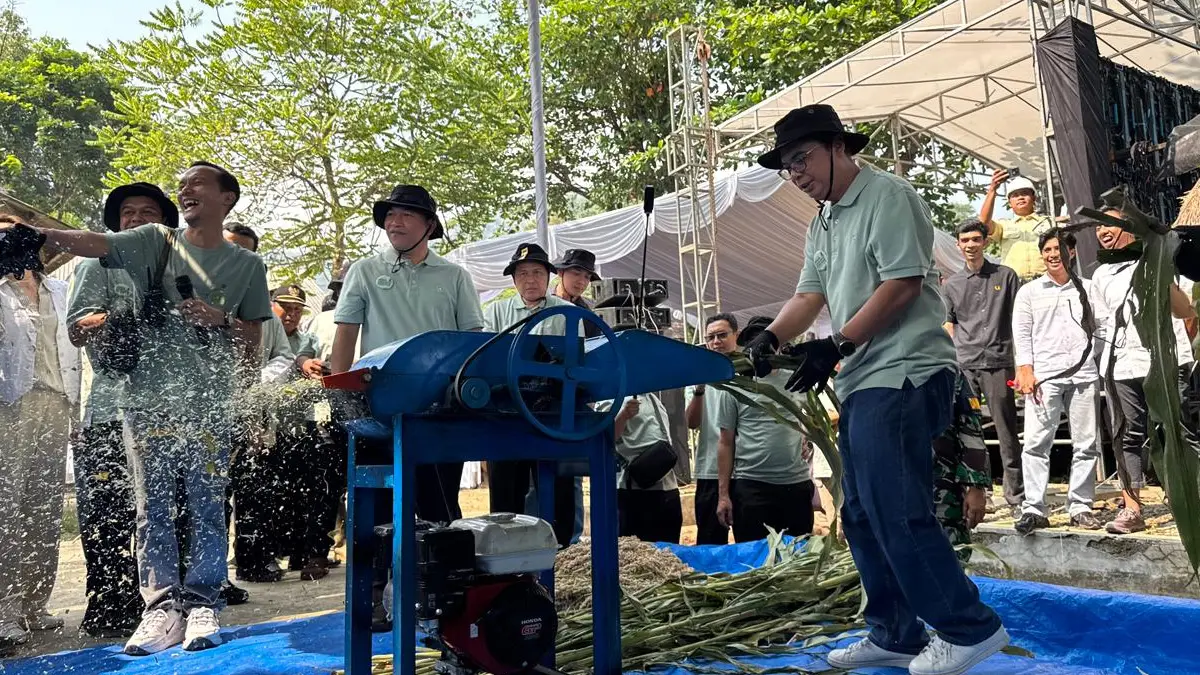 PLN Indonesia Power Panen Raya Sorgum: Pengiriman Perdana Biomassa untuk Co-firing PLTU Pelabuhan Ratu