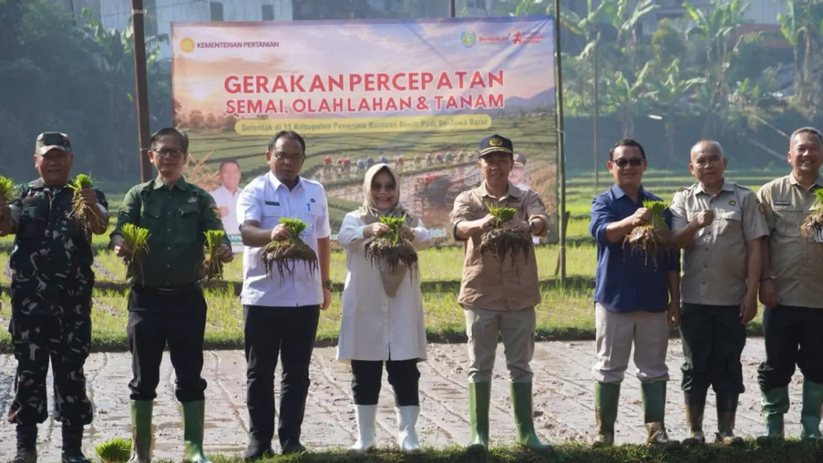 Dorong Produktivitas Pertanian, Kabupaten Sukabumi Bidik Target Tanam Padi 11.114 Hektare