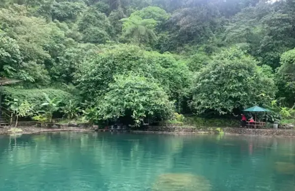 Telaga Batu, tempat camping dan berenang di tengah hutan yang ada di Bogor (Sumber : Gmaps/Masrul Channel)