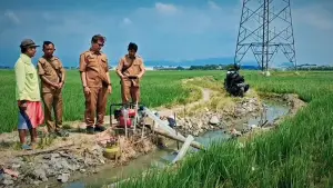 Satpel Mekanisasi Plumbon Cirebon saat monitoring pemanfaatan pompa air di Kelompok Tani Desa Kedungsana, Senin (22/6/2026). (Sumber Foto: Istimewa)
