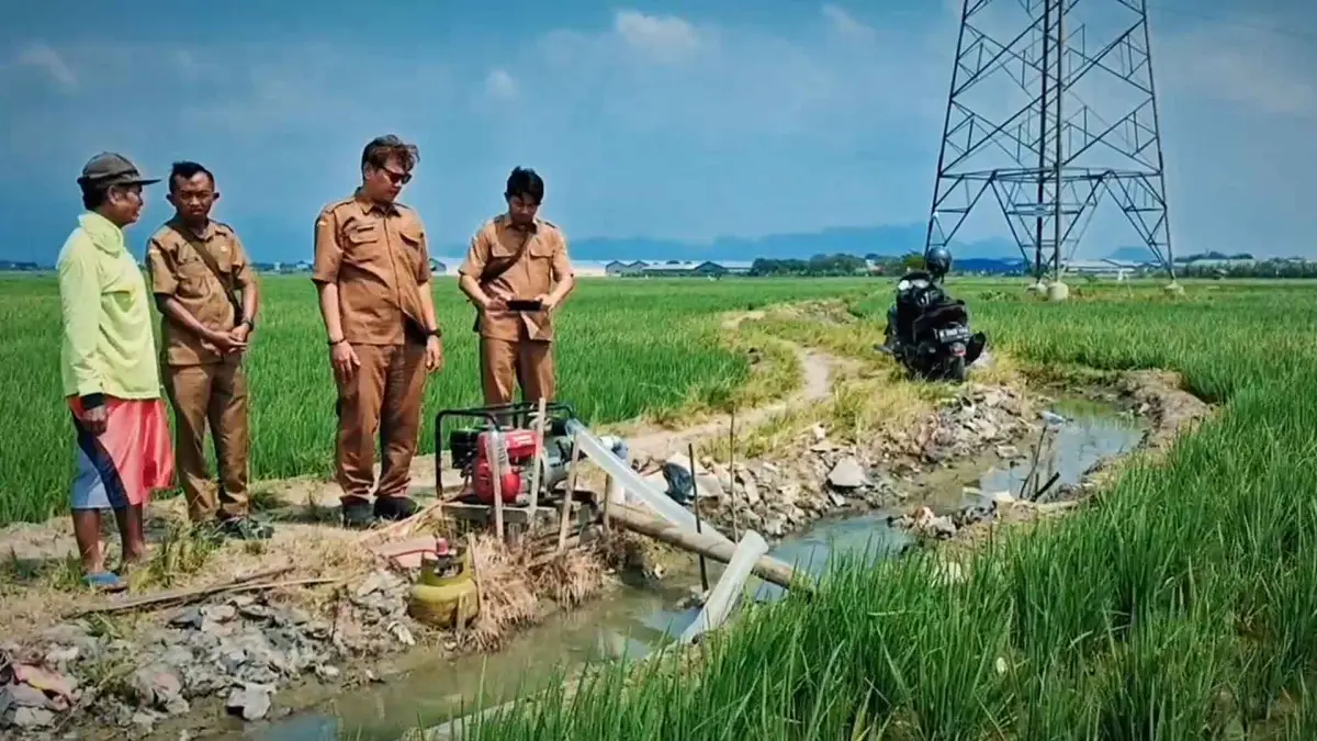 BP Mektan Jabar Monitoring Pemanfaatan Pompa Air di Plumbon Cirebon, Dukung Produktivitas Padi