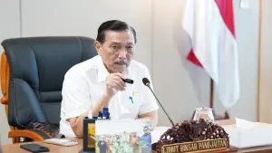 Luhut Binsar Panjaitan, Ketua Dewan Ekonomi Nasional | Foto : dewanekonomi.go.id