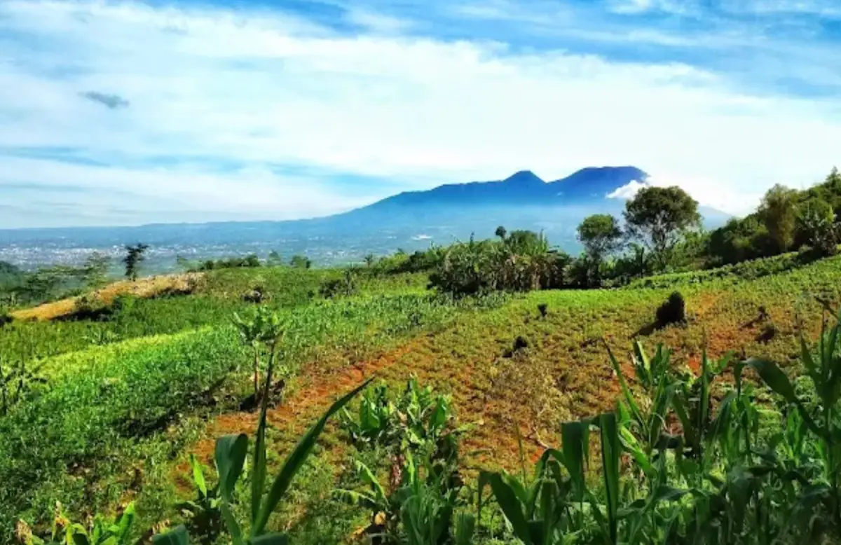 Pemandangan di Puncak Haur saat siang