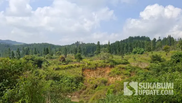 Kondisi Leuweung Kabuyutan hulu DAS Cikaso yang tidak lagi jadi hutan (Sumber: sukabumiupdate)