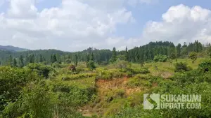 Kondisi Leuweung Kabuyutan hulu DAS Cikaso yang tidak lagi jadi hutan (Sumber: sukabumiupdate)