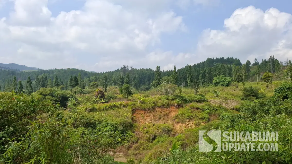 Menghijaukan Kembali Hulu Sungai Cikaso Sukabumi, Dihancurkan Tambang dan Penebangan Liar