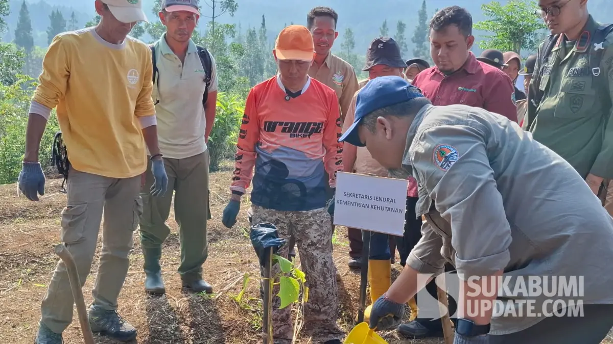Kementerian Kehutanan tanam 15 ribu pohon di hulu DAS Cikaso Sukabumi