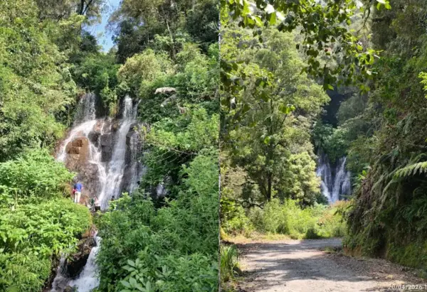 Curug Ciayunan, salah satu air terjun eksotis yang ada di lereng Gunung Patuha, Bandung (Sumber : Gmaps)