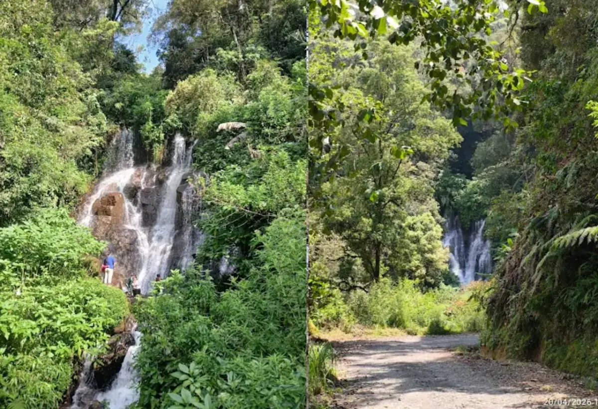 Curug Ciayunan Ciwidey, Air Terjun di Lereng Gunung Patuha yang Masih Sangat Alami