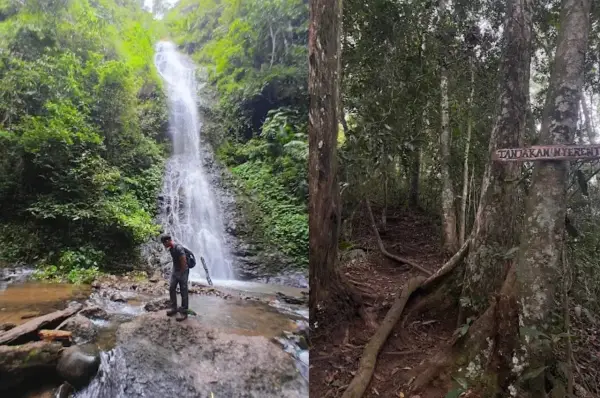 Curug Sabuk, salah satu air terjun yang ada di hutang Gunung Kareumbi, Sumedang, Jawa Barat (Sumber : Gmaps)
